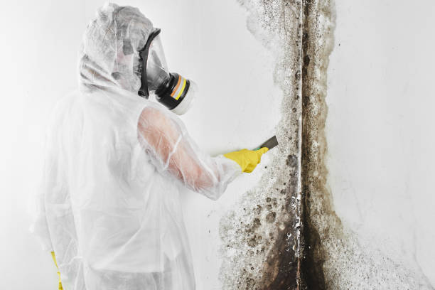 Best Water Damage Restoration  in El Dorado Hills, CA