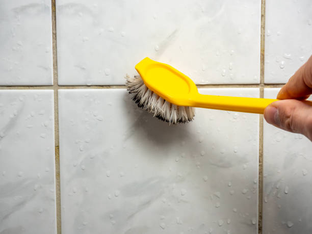 Home Mold Removal in El Dorado Hills, CA