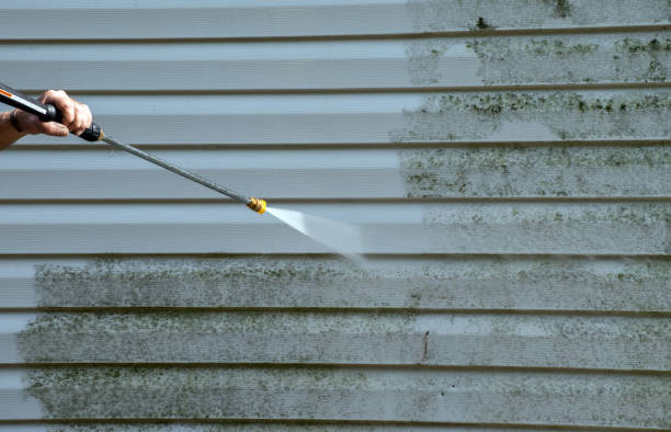 Best Mold Remediation  in El Dorado Hills, CA