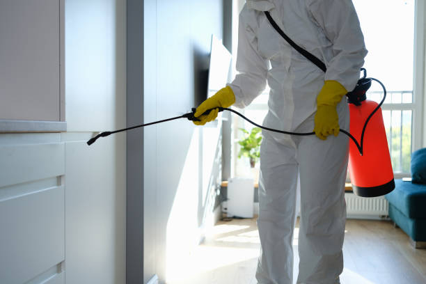 Best Emergency Mold Removal  in El Dorado Hills, CA