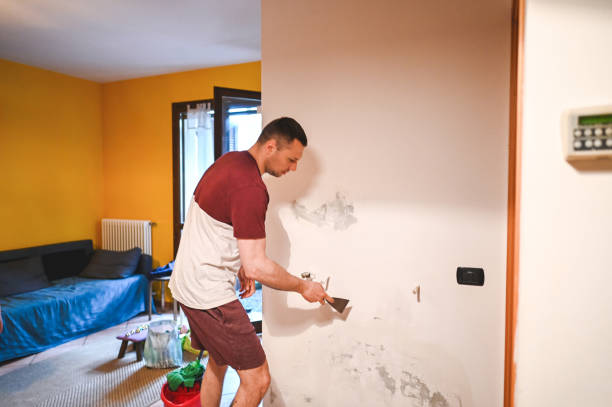 Best Black Mold Removal  in El Dorado Hills, CA