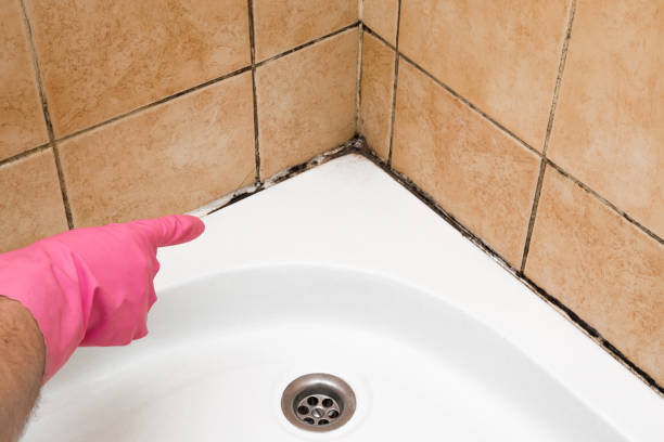 Best Mold Testing  in El Dorado Hills, CA
